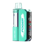 Cool Mint FOGER Switch Pro Kit